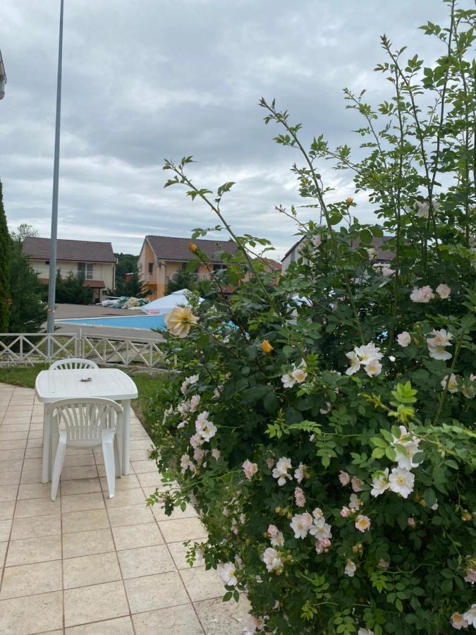 Vila Hubert Băile Felix Exteriör bild